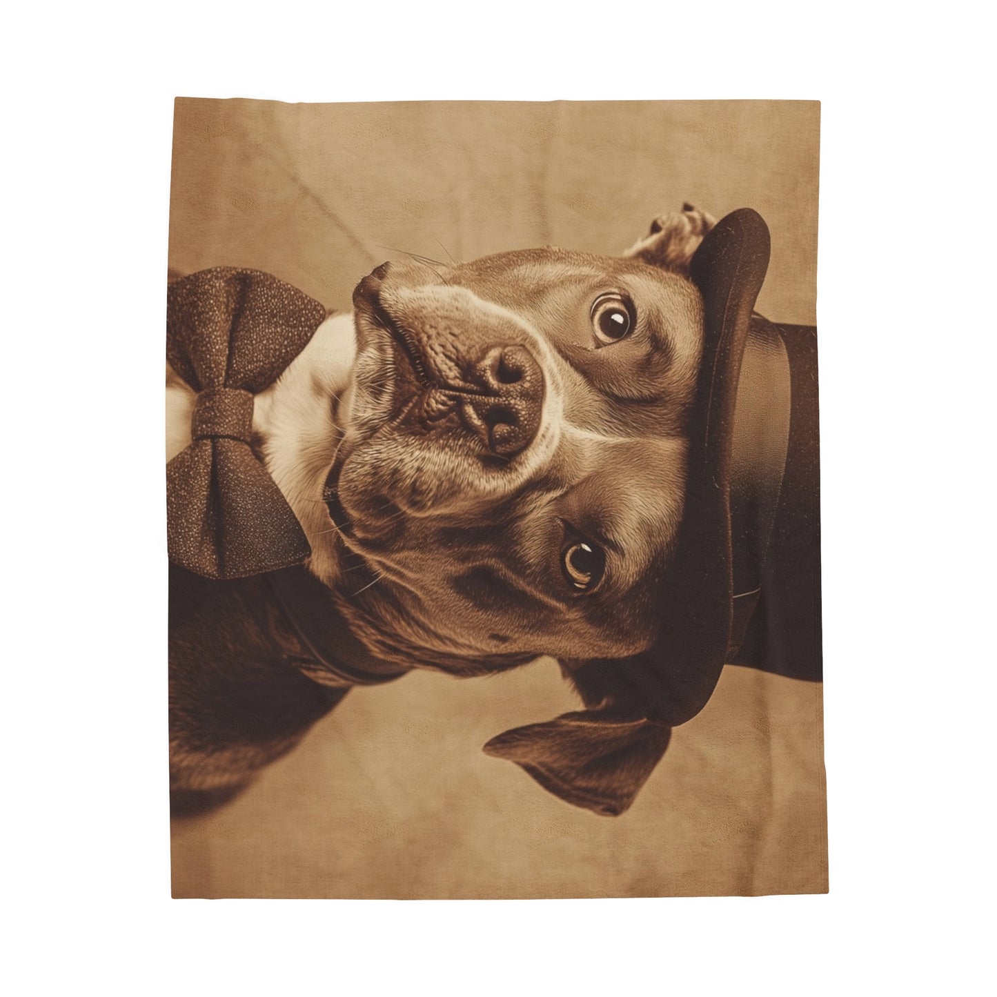 Historical Fiction Collection™: "Lord Winston of Woofshire"   | Velveteen Plush Blanket